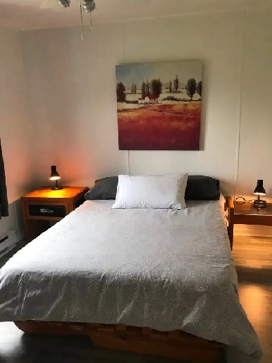 Grande maison meublée équipée face lac Aylmer sur grand terrain Image# 5