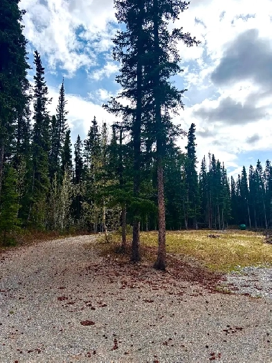 Property for Sale-Prime acreage Cousins Airstrip Whitehorse area Image# 5