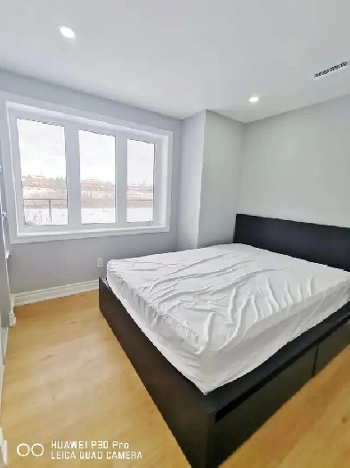 Legal Walkout Basement in Whitby For Rent Image# 8