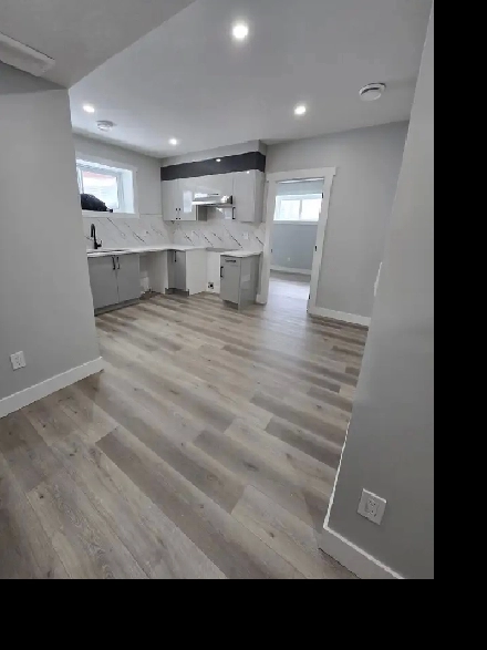 New basement for rent in NW Edmonton Image# 3