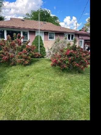 A beuatiful bungalow house Image# 6