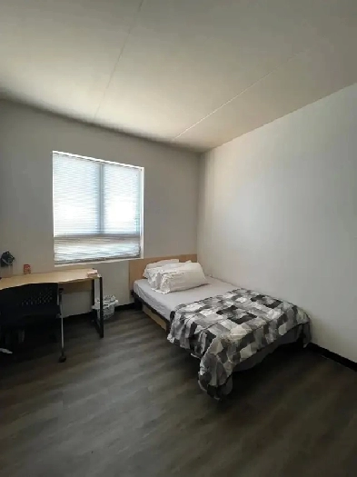 Female Student Roommate Wanted – Near Durham College, Oshawa Image# 1