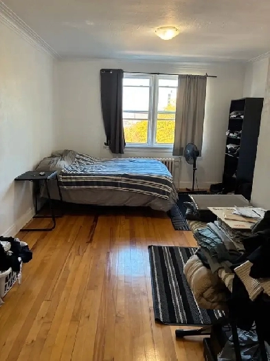Bachelor Unit - Downtown Location- Available December 1st! Image# 1