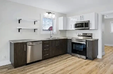 2 bed   1 bath Apartment Image# 1