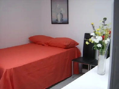 PRIVATE    apartment - studio.  montreal Image# 1