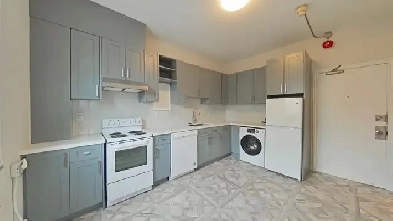 1 Bedroom Apartment for Rent - 1154 Queen St. W. Image# 4