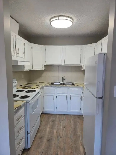 Two Bedroom Apartment (Renovated!) Image# 1