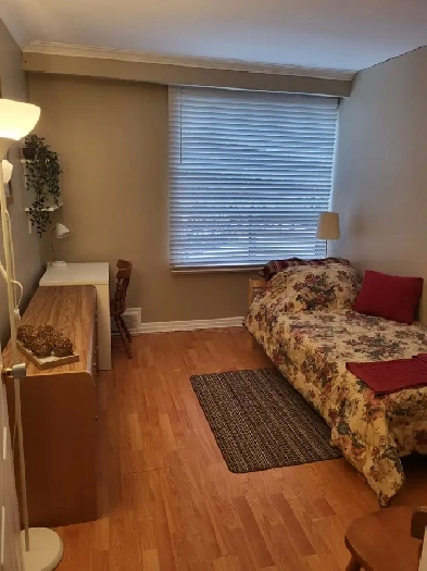 Private Room for Rent Image# 2