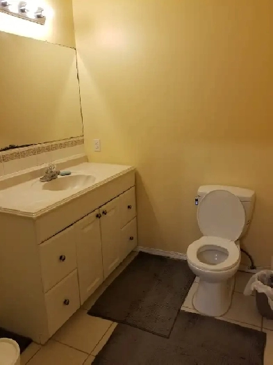 Walkout basement for rent Image# 1
