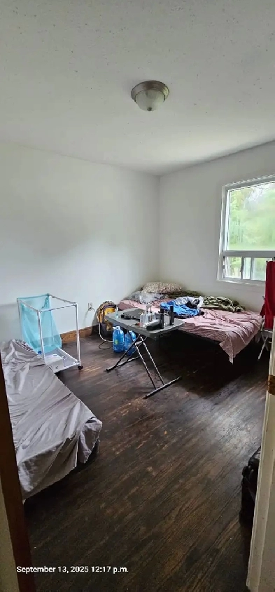 two bedroom for rent at brampton Image# 4