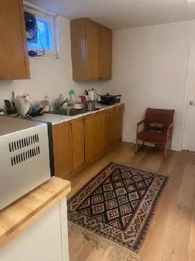 BRIGHT ROOM FOR RENT - LESLIE AND FINCH - SENECA NEWNHAM Image# 3