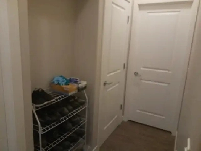 2 BR   1.5 bath downtown townhouse for rent Image# 2