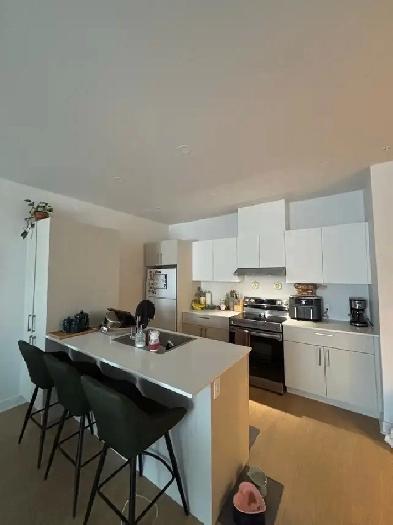 3 1/2 Apartment for Rent-Appartement 3 1/2 Image# 4