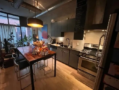 $2500 1 Bedroom Furnished Loft In Roncy Jan 01-Apr 30 2026 Image# 1