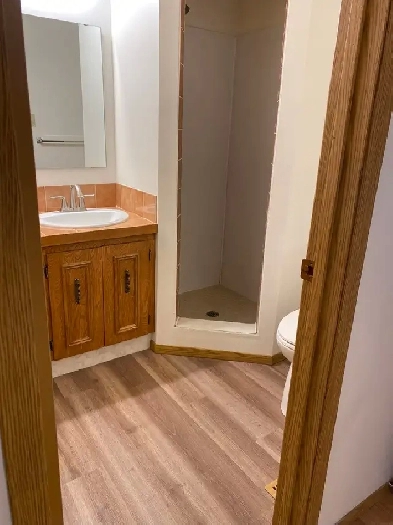 basement room for rent near university Image# 1