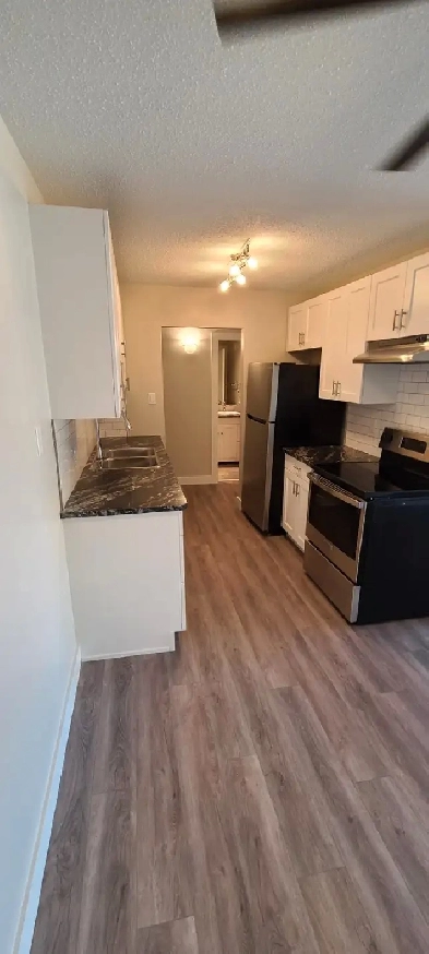 1 BEDROOM APARTMENT- QUIET BUILDING - PET FRIENDLY Image# 1