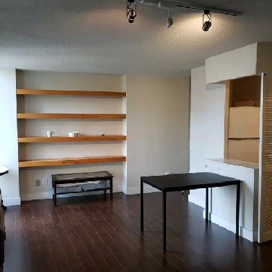 Large 1 1 downtown Toronto condo Image# 1