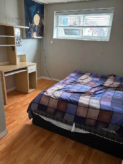 01  bedroom in the basement available for rent Image# 1