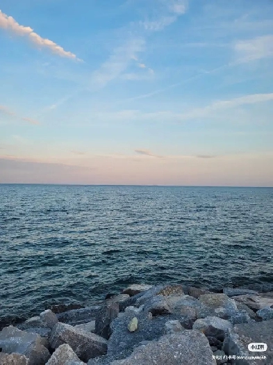 Etobicoke ground 3 bedroom 2 bathroom unit for $2700 Image# 1