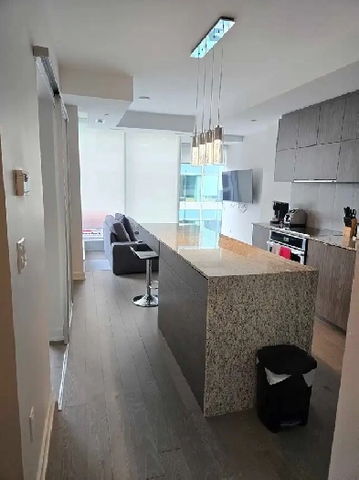 downtown Ottawa Condo 1 bdrm Image# 1