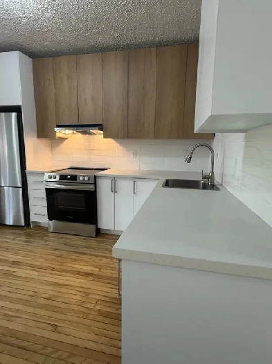 51/2 Pointe aux Trembles Image# 1