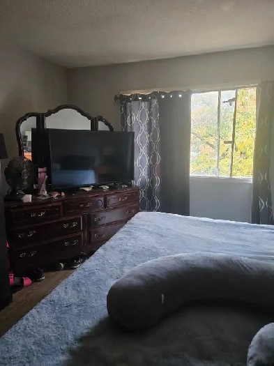 Room For Rent Image# 1
