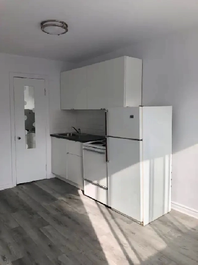 Studio 1 1/2 sur le Plateau disponible pour Novembre Image# 1