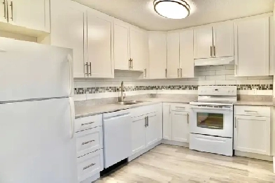 Modern Newly Renovated 2 Bedroom Apt-Oct FREE & Nov/Dec 1/2 RENT Image# 1