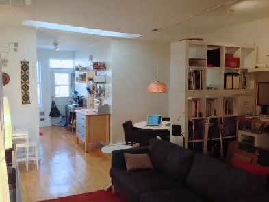 Villeray, beau 4 1/2, 1 ch, aire ouverte, lumineux, 1er JANVIER Image# 1