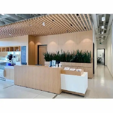 Boost your professional image with a Virtual Office plan! Image# 5