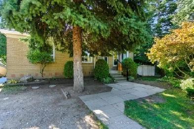 3- Bedroom Basement for Rent Image# 8