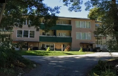 1 Bedroom Apartment Trail BC Image# 1