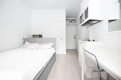 Studio apartment - 4 month leases - Downtown - McGill/UQAM/UdeM Image# 7