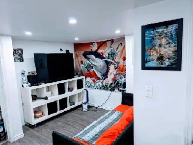 FURNISHED JUNCTION 2BDR BASEMENT - LANSDOWNE & KEELE - NOV 1ST Image# 1