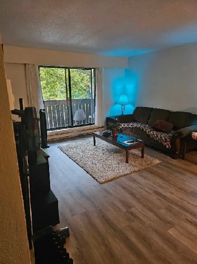 looking for roommate Image# 5