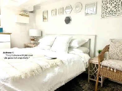 Pet-Friendly 2BR Basement |  Laundry Image# 1