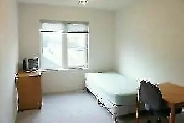 Mins to York Uni & Subway Semi-Ensuite Room 4 Rent, Avail Nov 1 Image# 1