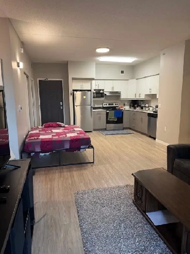 2 Bedroom Apartment Image# 1