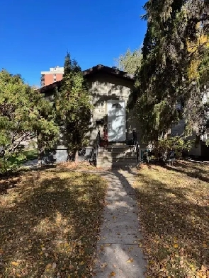 Cute and Cozy 1 bedroom basement suite-Nutana area Image# 1