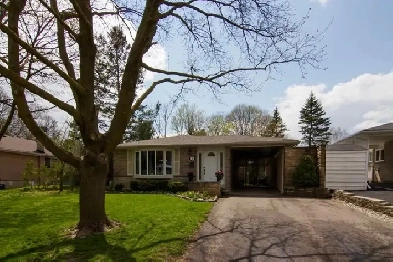 Aurora One-Bedroom apartment Image# 1