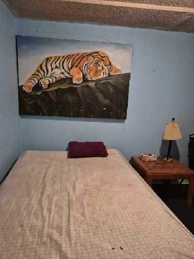Room for rent in 5 bedroom home Image# 2