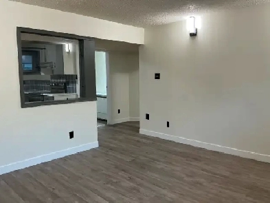 New 3-Bedroom Basement • Private Entry • Laundry • 2 Parking Image# 1