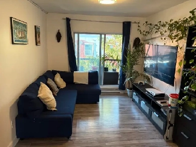 grand appartement 4 1/2 à louer - février 2026 Image# 3