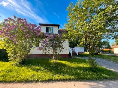 BASEMENT APARTMENT-SEPARATE ENTRANCE NEAR LAKEHEAD FOR RENT! Image# 1