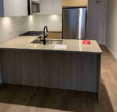 1 Bd apartment near Lougheed Mall/SFU/Burquitlam Image# 1