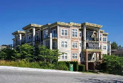 1 bed 1 bath available November 1 Image# 14