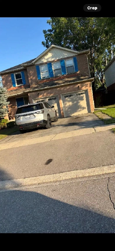 4 bedroom home for rent Burlington Image# 1