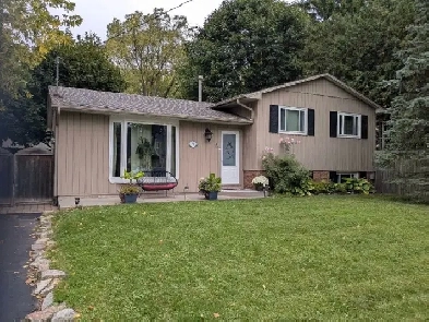 Waterdown Detached Bungalow Image# 7