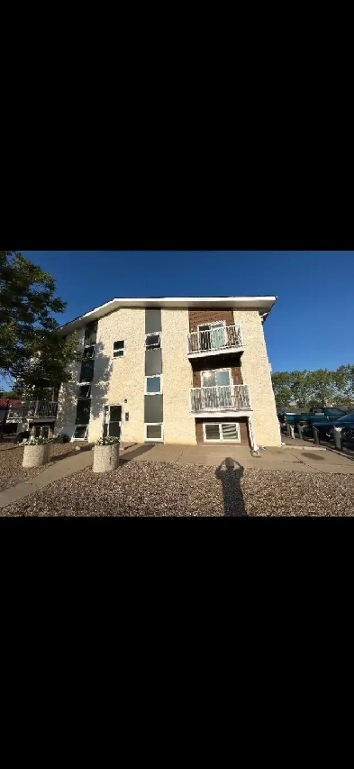 Fully Renovated Two BDR Apartment November 1 Image# 4