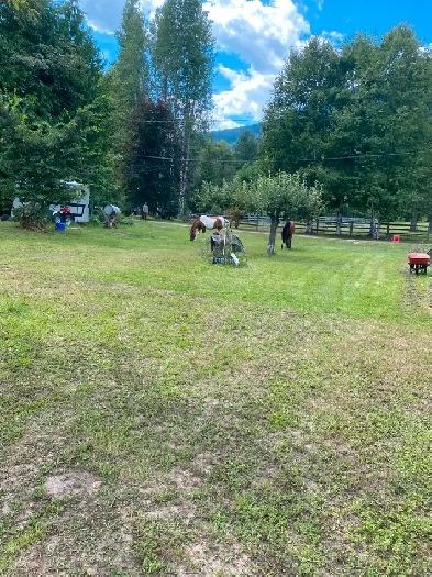 Home Rental-  4bed / 2.5 bath - Owner Sublet  November until May Image# 6